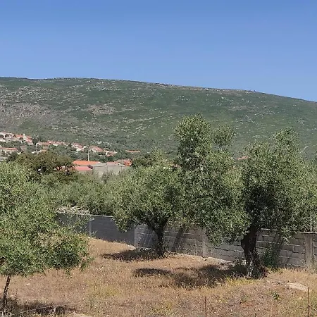 Casa Do Avô Pedro Lagar Novo