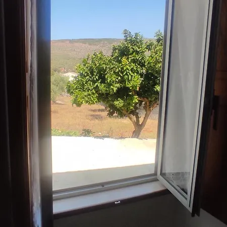 Hébergement de vacances Casa Do Avô Pedro